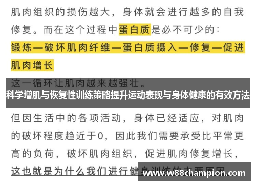 科学增肌与恢复性训练策略提升运动表现与身体健康的有效方法